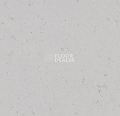 Кварцвиниловые полы Forbo Allura Colour/Colour Plus C68037-651037 cloud фото 1 | FLOORDEALER